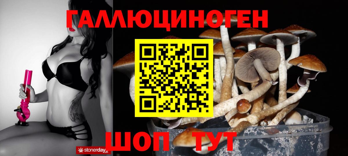 Галлюциногенные грибы MAGIC MUSHROOMS  Вход с VPN  где купить   Мончегорск 